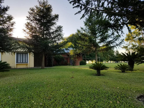 Imagen 3 de 30 de Campo - Concepcion Del Uruguay