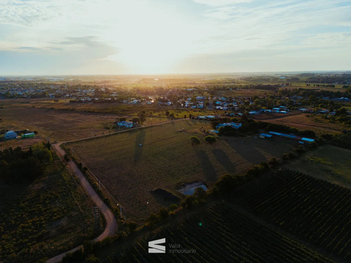 Venta Chacra 3 Hect Casa 5 Dormitorios Piscina Galpon Avicola Progreso Canelones