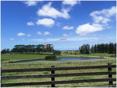 Venta De Terreno En Punta Del Este, La Barra, Barrio Privado El Quijote- Ref: 21342