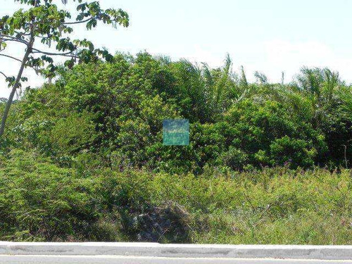 Imagem 3 de 10 de Terreno, Itacimirim, Camaçari - R$ 2.4 Mi, Cod: 23200 - V23200