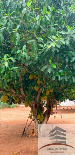 Imagem 9 de 26 de Granja A Venda Ceara Mirim