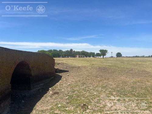 Campo En Venta De 50 Has En Carlos Keen - A 1 Hora De Caba