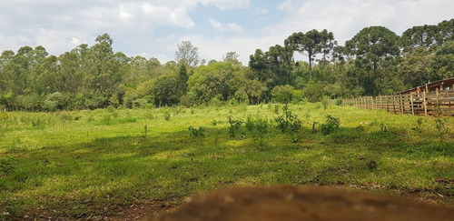 Imagem 6 de 6 de Chácara Para Venda Em Ponta Grossa, Colonia Dona Luiza - 144_2-1102965
