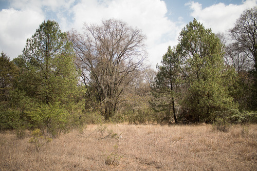 Terreno En Venta En Jilotzingo Estado De Mexico