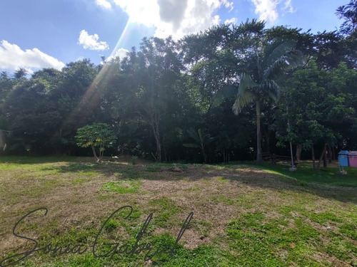 Imagem 3 de 5 de Terreno À Venda No Condomínio Picollo Villaggio Em Louveira/sp. - Te00083 - 69234614