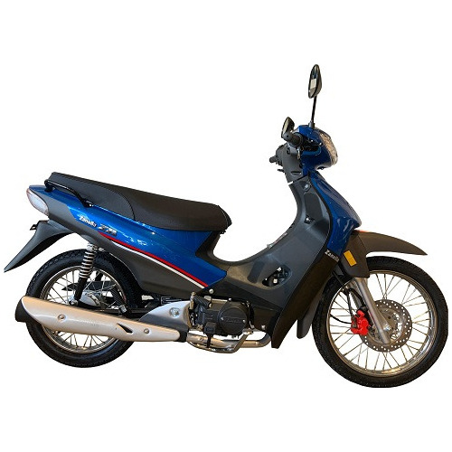 Imagen 4 de 12 de Moto Zanella Zb 110 Rayo Disco