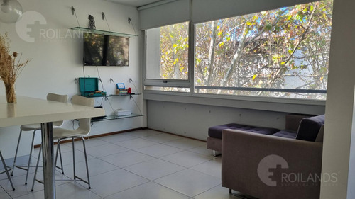 Alquiler Temporal Departamento Monoambiente Con Pileta En Palermo