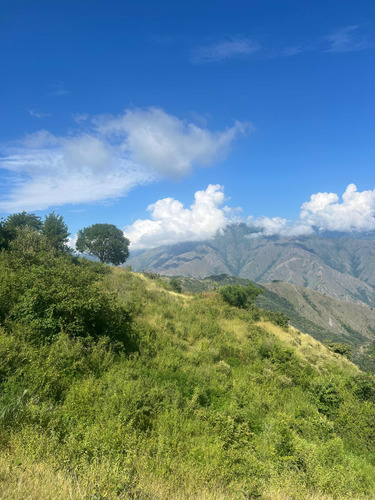 Lote Barato 7ha Venta Liborina Antioquia