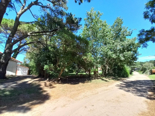 Imagen 5 de 6 de Lote Terreno Venta Pinamar Zona Iglesia Foca 705 M2