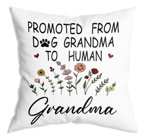 Promocionado De Abuela Perro A Humano Fundas De Almohada Fun