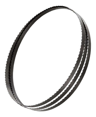 Imagen 6 de 10 de Hoja De Sierra Sin Fin Repuesto Einhell Tc-sb 305 U Banda