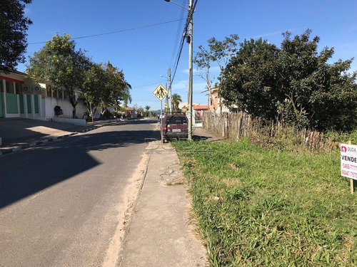Imagem 5 de 7 de Terreno - Ana Maria - Ref: 7533 - V-7533