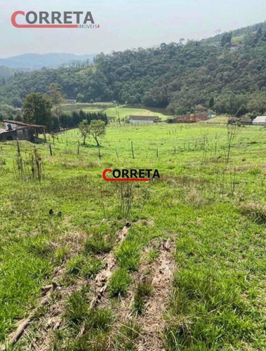 Imagem 11 de 11 de Lote De 4.668,55m² Localizado No Verava. - 269