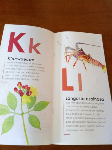 Cartilla Del Abc De Las Especies Amenazadas (Usado)