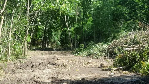 Limpieza Y Desmonte De Terrenos . Alquiler Camion Y Bobcat