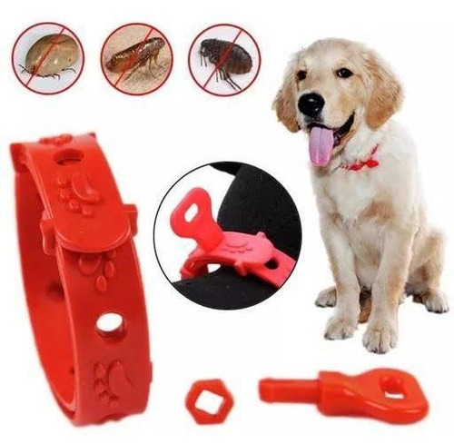Collar Anti Pulgas Y Garrapatas Para Mascotas Graduable