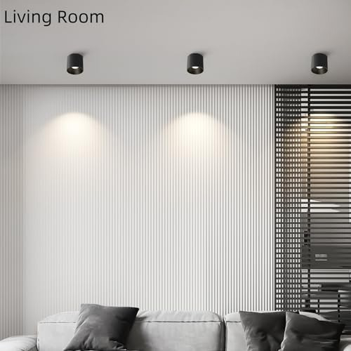 Lámpara De Techo Led Regulable, Moderna Lámpara De Techo Emp
