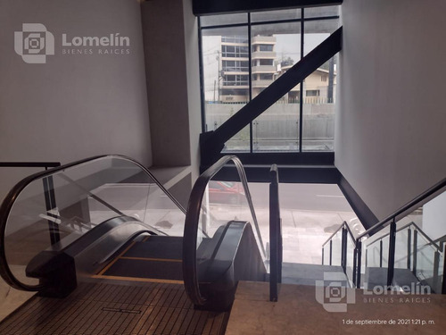 Oficinas Nuevas En San Ángel (los Alpes)