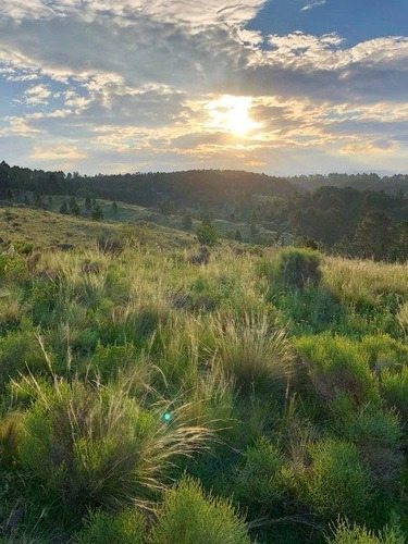 Imagen 2 de 3 de Venta De Fraccion De 5573 M2 En Intiyaco