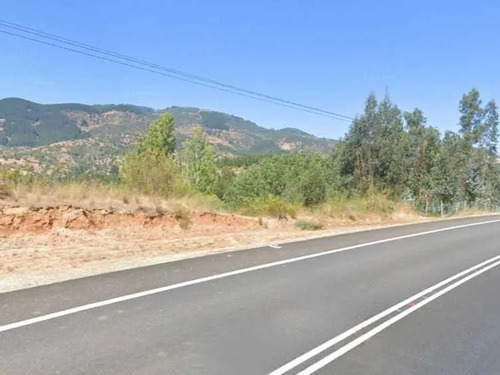 Predio Agricola De 4,67 Ha, La Palma, Curepto (80807)
