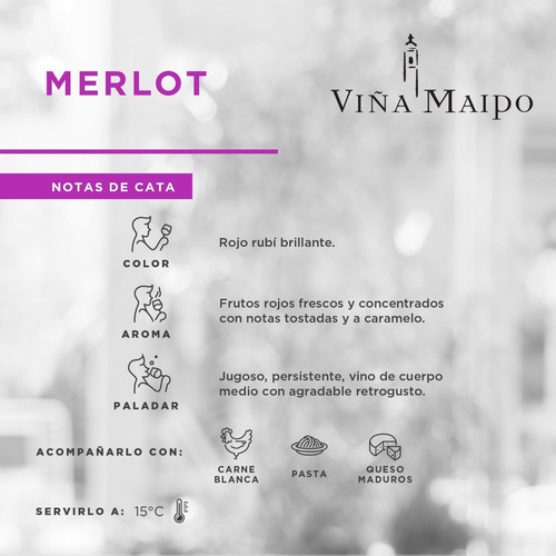 Vino Tinto Viña Maipo Classic Series Merlot 750 Ml