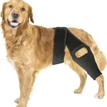 Comprar Equipamento De Proteção Para Animais De Estimação Cinto