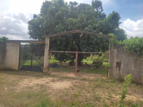 Terreno En Venta En El Parque Agrinco En La Urb. El Encanto-tocuyito     Plt-239