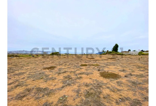En Venta Terreno Para Desarrollo Inmobiliario