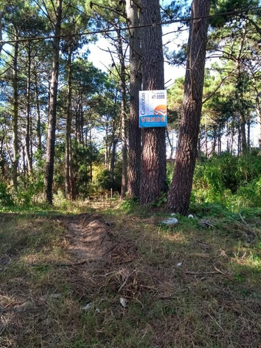 Terreno En Las Gaviotas - Mar Azul