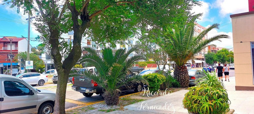 Muy Calido Departamento De Dos Ambientes En Pleno Centro