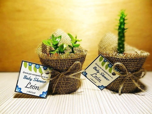 Recuerdos Cactus Encintados Plantas Para Matrimonios Regalos (Usado)