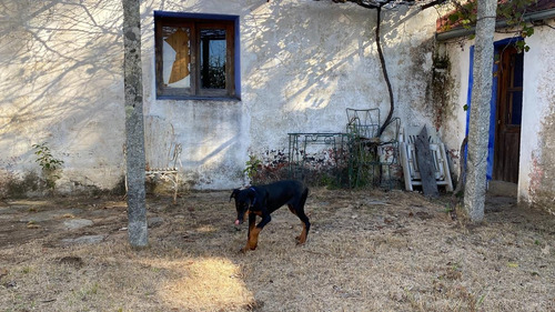 Imagen 6 de 30 de Se Vende Campo De 77 Has En Maldonado. A Pocos Km De Aiguá En Zona De Ruta 39. Ubicación Privilegiada!