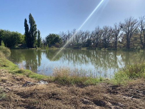 Exclusivo Viñedo De 20 Ha. En Cuadro Benegas