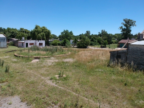 Imagen 5 de 13 de Venta De Planta De Cereales En Benito Juárez.