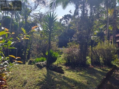 Imagem 9 de 30 de Sítio Em Quatinga - Mogi Das Cruzes -sp