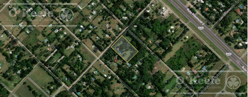 Imagen 14 de 20 de Quinta En Venta En Abasto 4180 Mts. Con Muy Buena Forestación