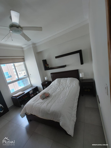 Apartamento Amueblado En El Distrito Nacional