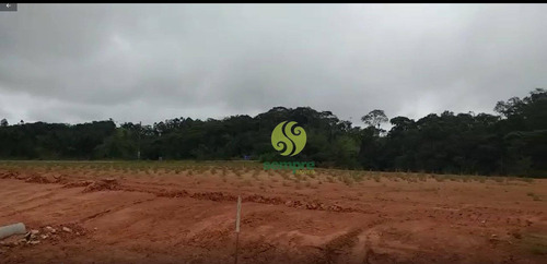 Imagem 10 de 22 de Áreas / Terrenos À Venda A Partir De 2.299,30 M² - Brusque/santa Catarina - Te0031