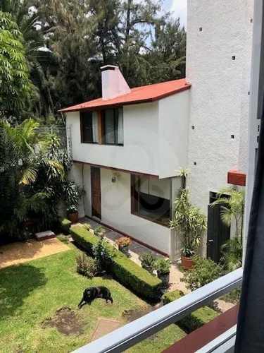 Casa En Renta En Copilco Universidad