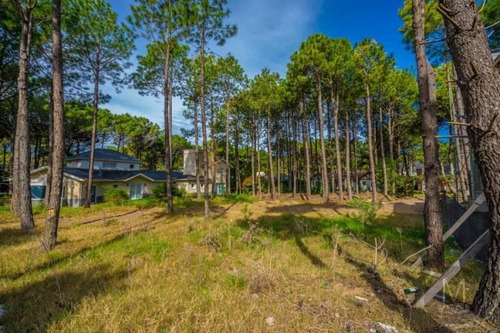 Imagen 3 de 5 de Nuevas Condiciones !! - Lote En Venta - Pinamar Norte