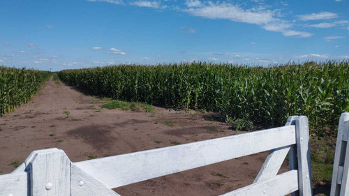 Campo En Venta En 25 De Mayo
