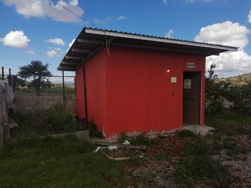 Carretera México-tuxpan En Zempoala Hidalgo