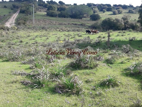 Venta Chacra Jose Ignacio 2 Has - Ref: 19207