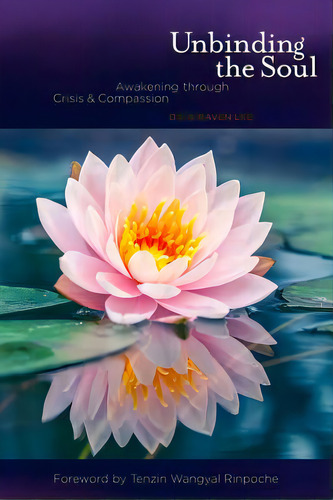 Unbinding The Soul: Awakening Through Crisis And Compassion, De Lee, B. Raven. Editorial Createspace, Tapa Blanda En Inglés