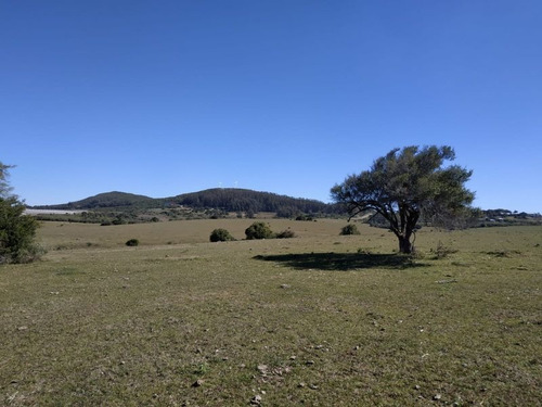 Chacras De 5 Hectareas Sobre Ruta 12
