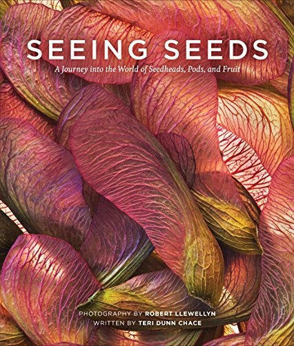 Seeing Seeds A Journey Into The World Of Seedheads, Pods, An