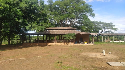 Imagen 9 de 12 de Finca Agropecuaria En Guanare, Portuguesa En Venta
