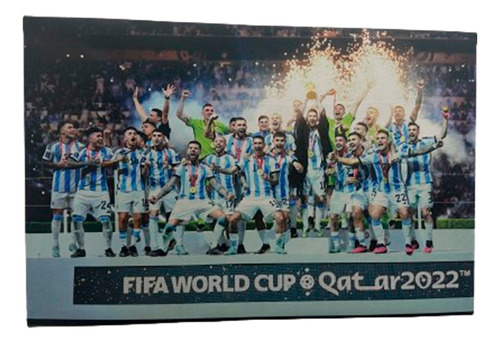 Cuadro Messi Argentina Mundial Seleccion 60x40