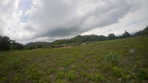 Imagen 10 de 30 de Finca En Venta San Felipe 1500 Ha, #23-14481