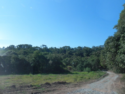 (i.b.) Lindos Terrenos Em Ibiúna - L13i23